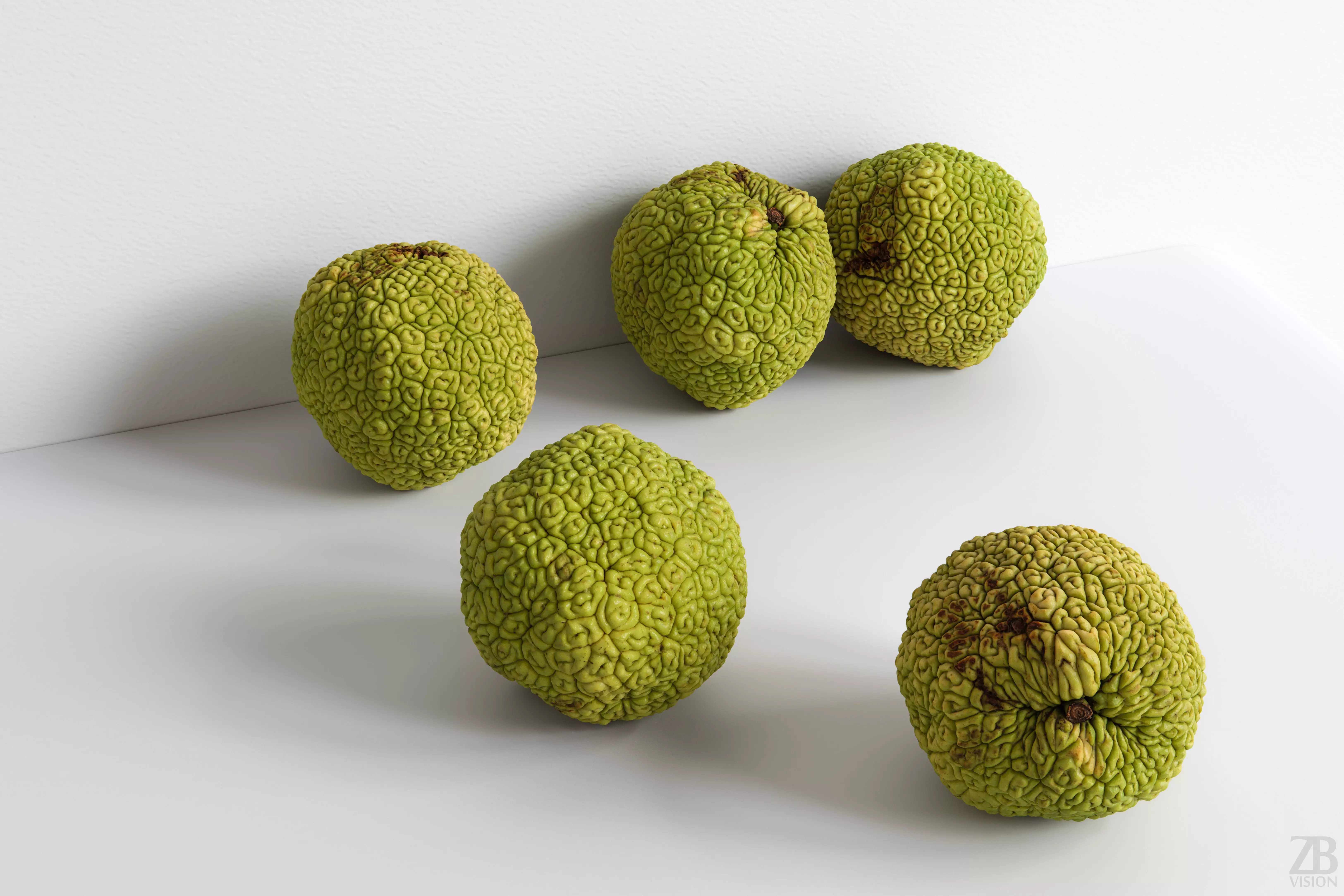 Osage Orange 3D model