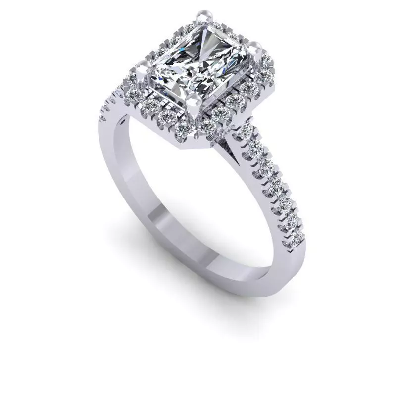 3D CAD NJ-1055-Ring 3D print model