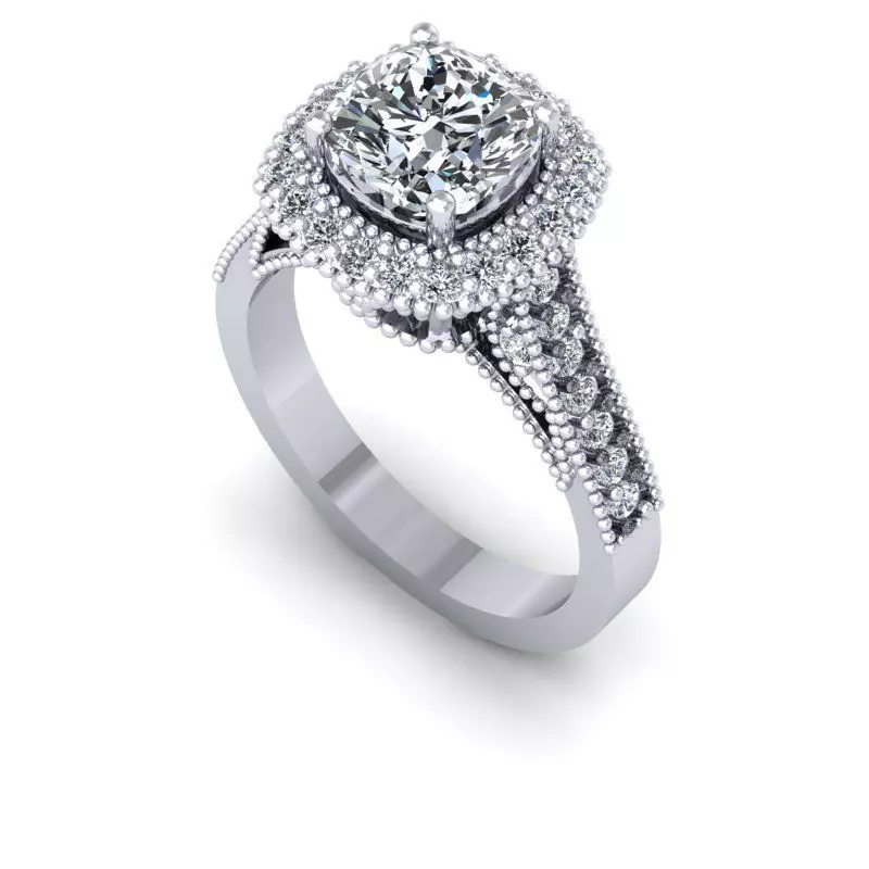 3D CAD NJ-1053-Ring 3D print model