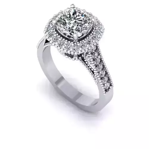 3D CAD NJ-1053-Ring 3D print model