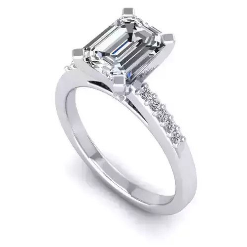 3D CAD NJ-1024-Ring