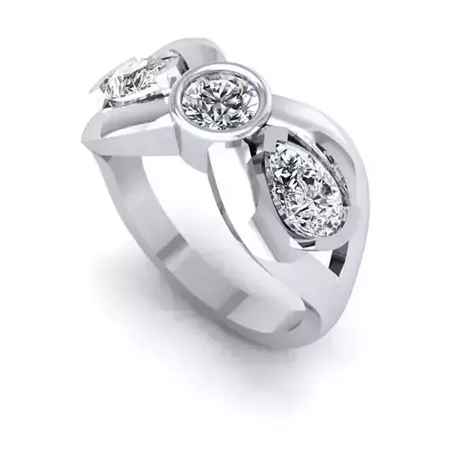 3D CAD NJ-1010-Ring