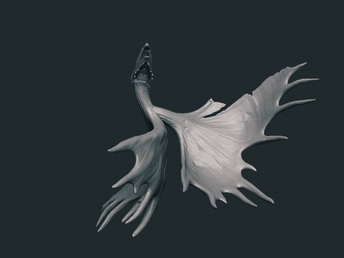 Native Abstract Antler Dragon Low-poly 3D model_1