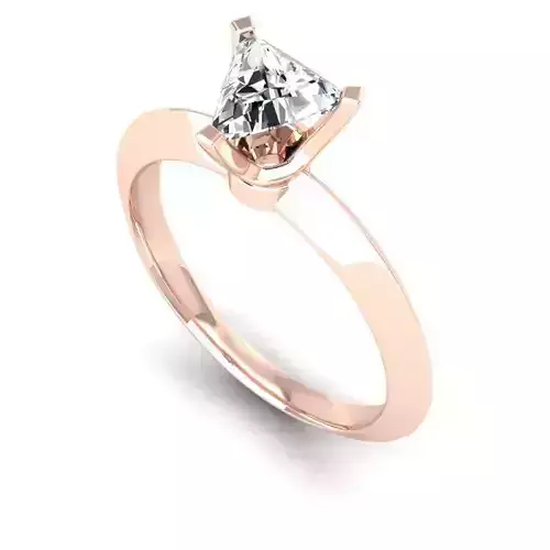 3D CAD NJ-1114-Ring 3D print model