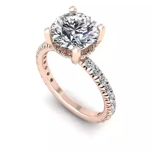 3D CAD NJ-1113-Ring 3D print model