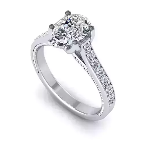 3D CAD NJ-1069-Ring