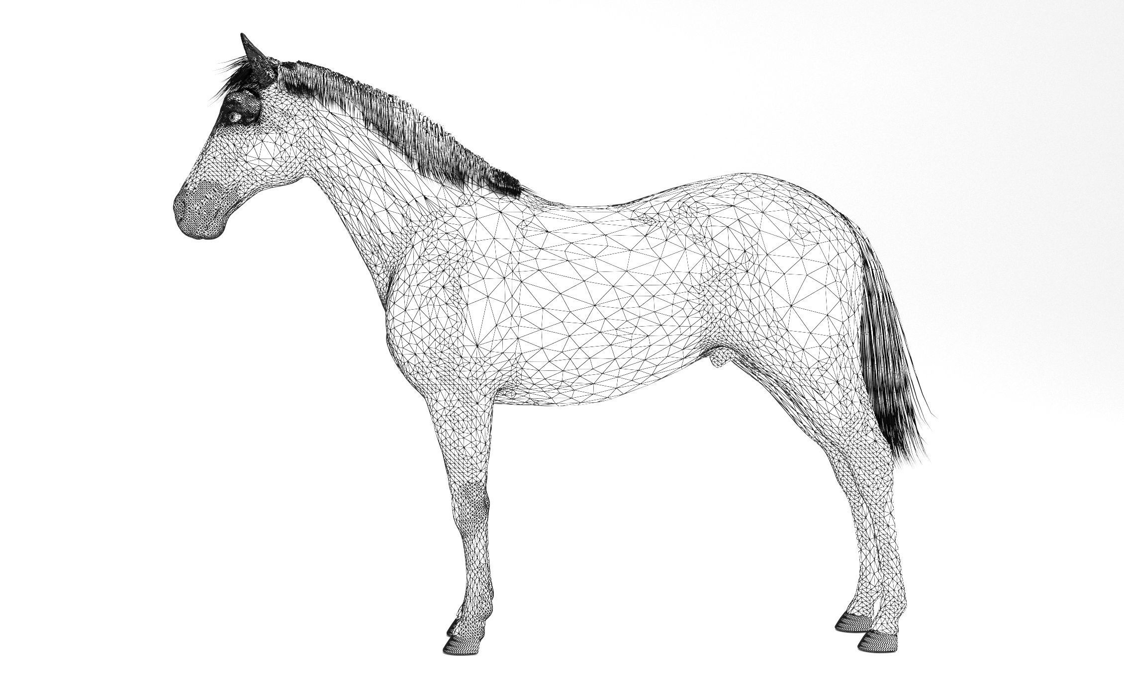 Brown Horse 3D model_5