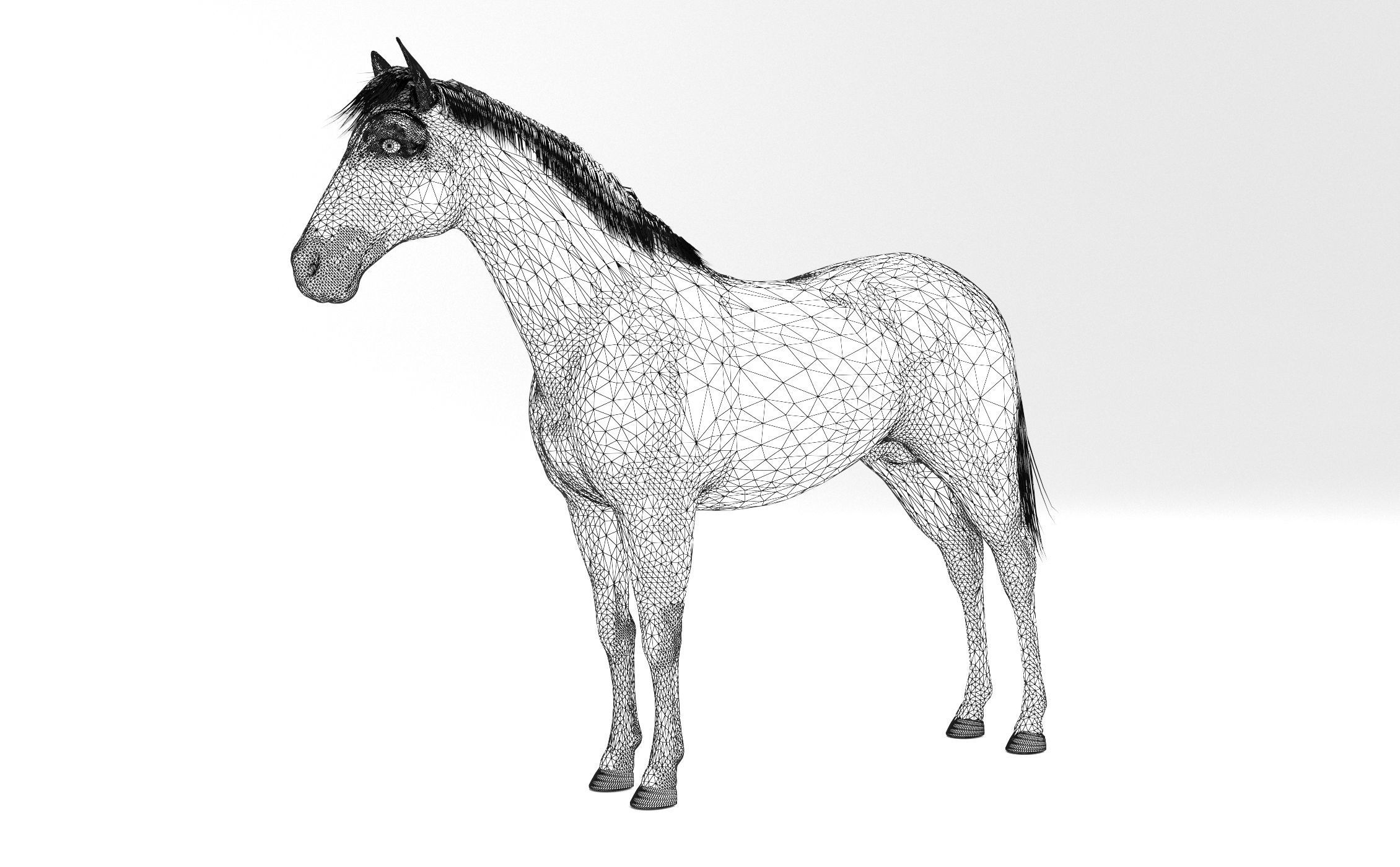Brown Horse 3D model_6