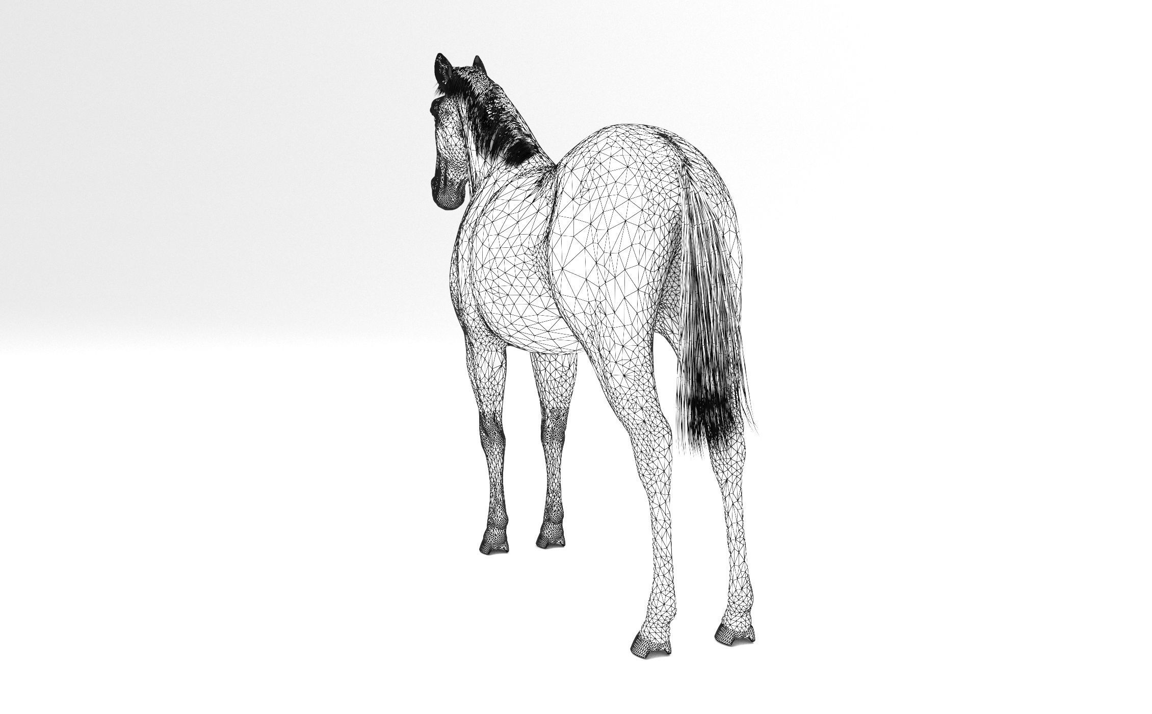 Brown Horse 3D model_9