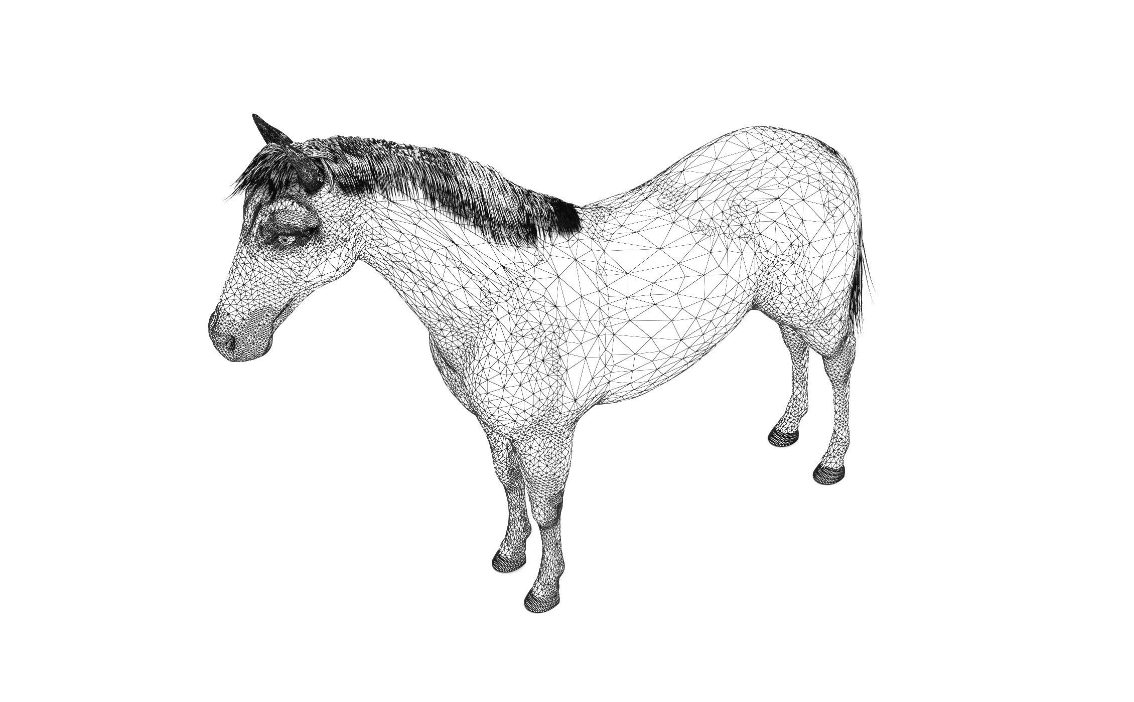 Brown Horse 3D model_8