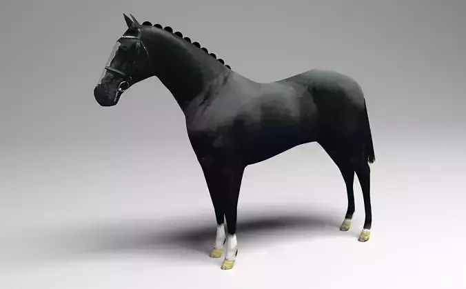 Black Horse 3D model