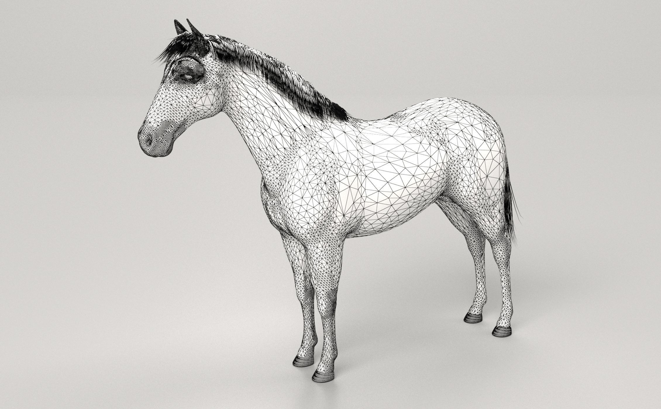 Gray Horse 3D model_5