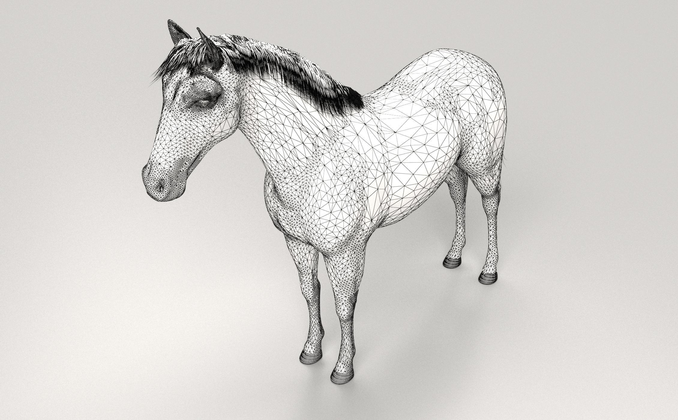 Gray Horse 3D model_7