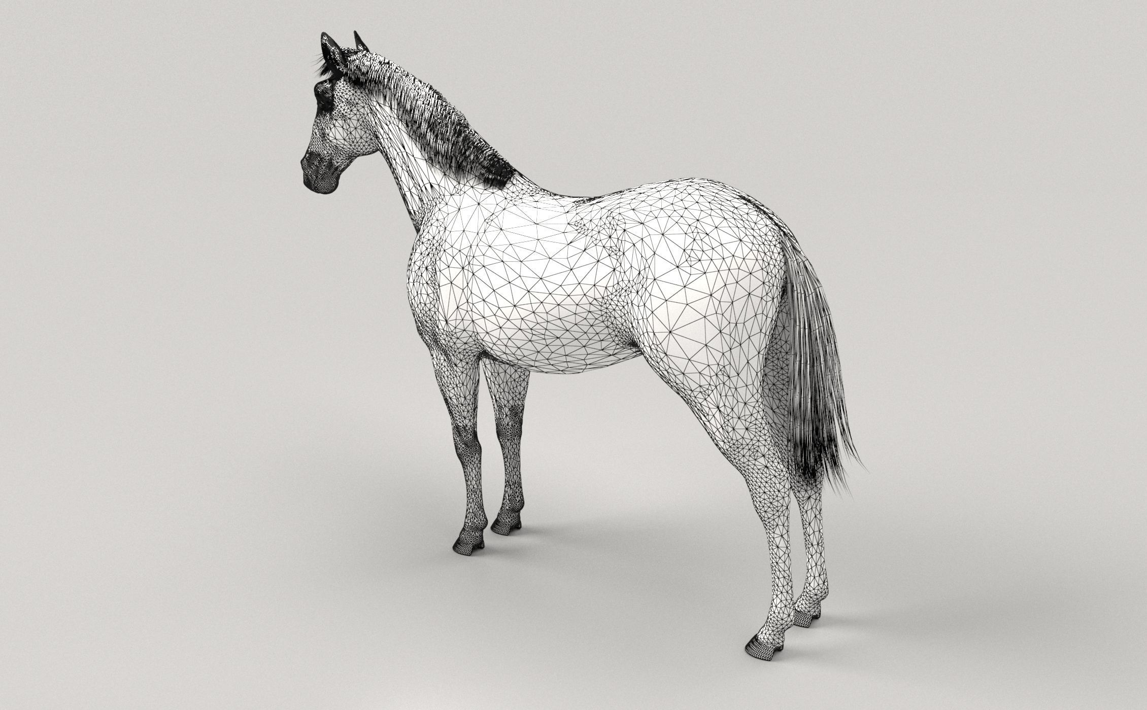 Gray Horse 3D model_6