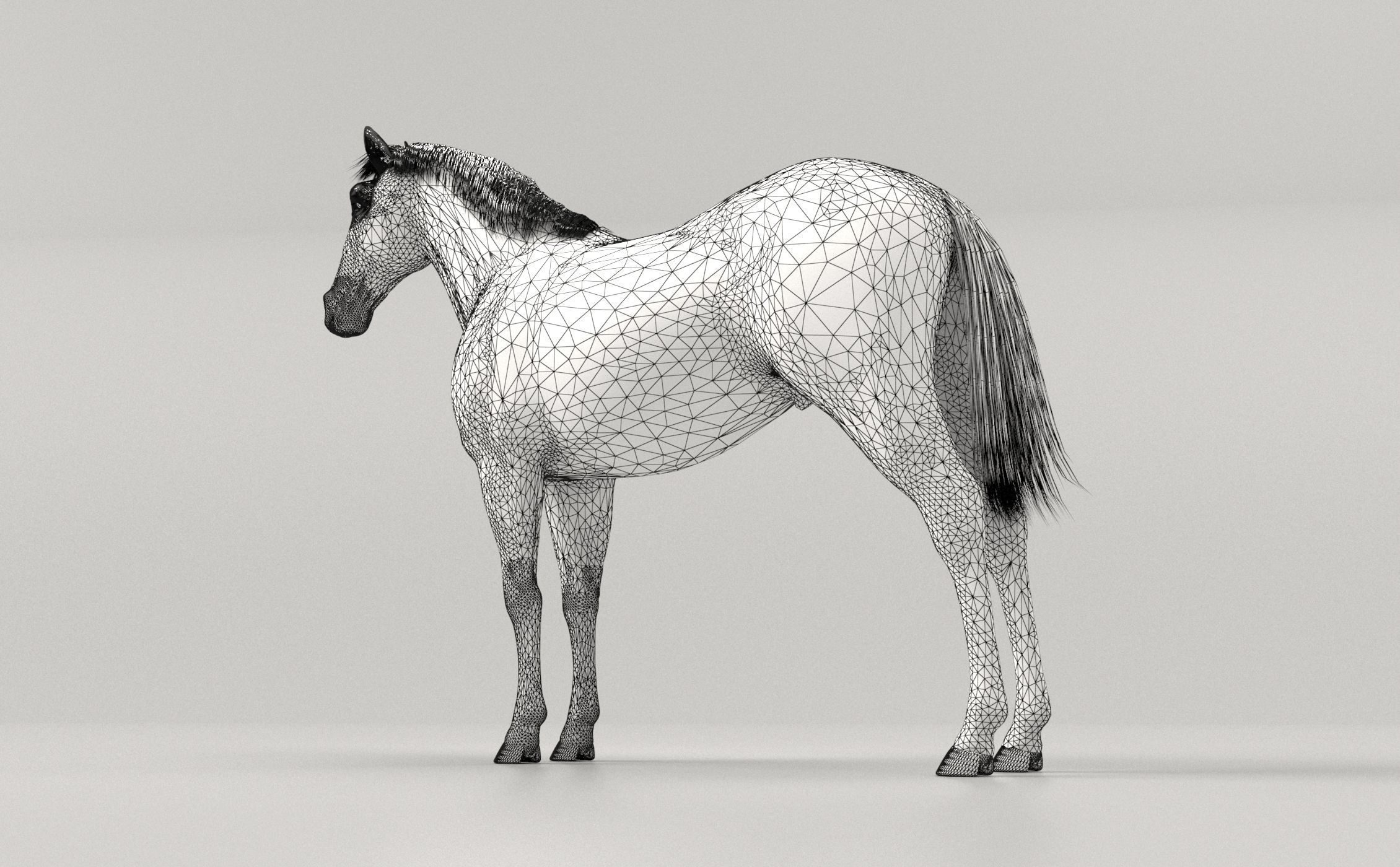 Gray Horse 3D model_8