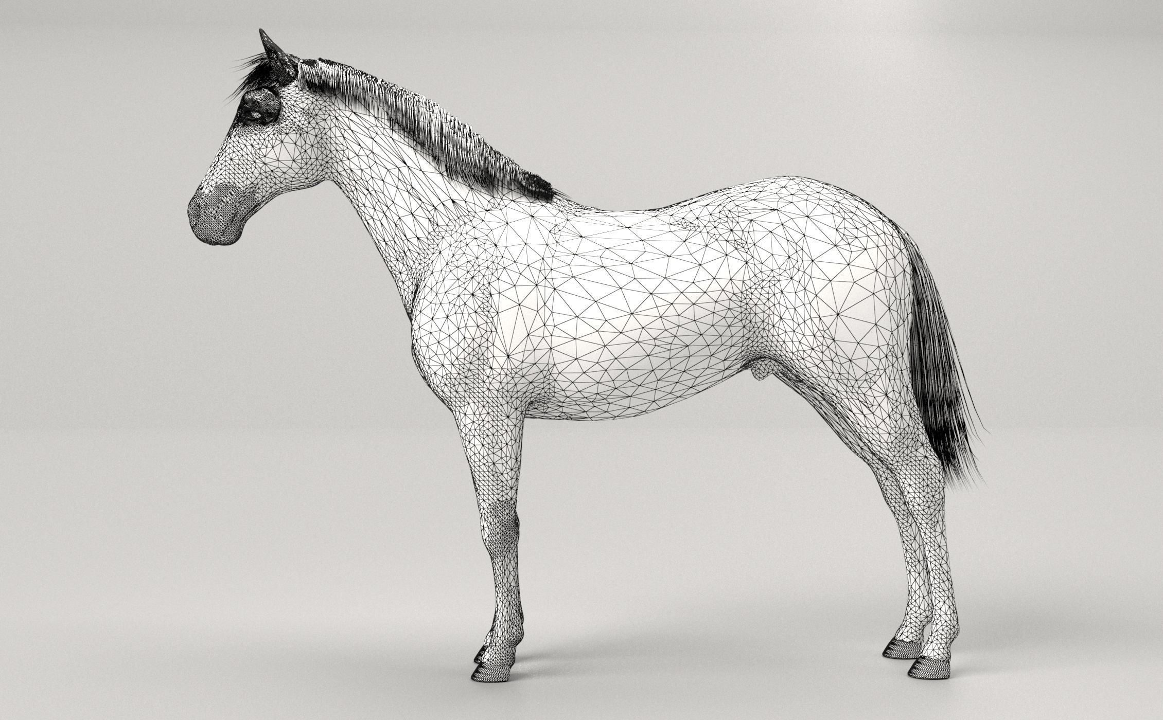 Gray Horse 3D model_9