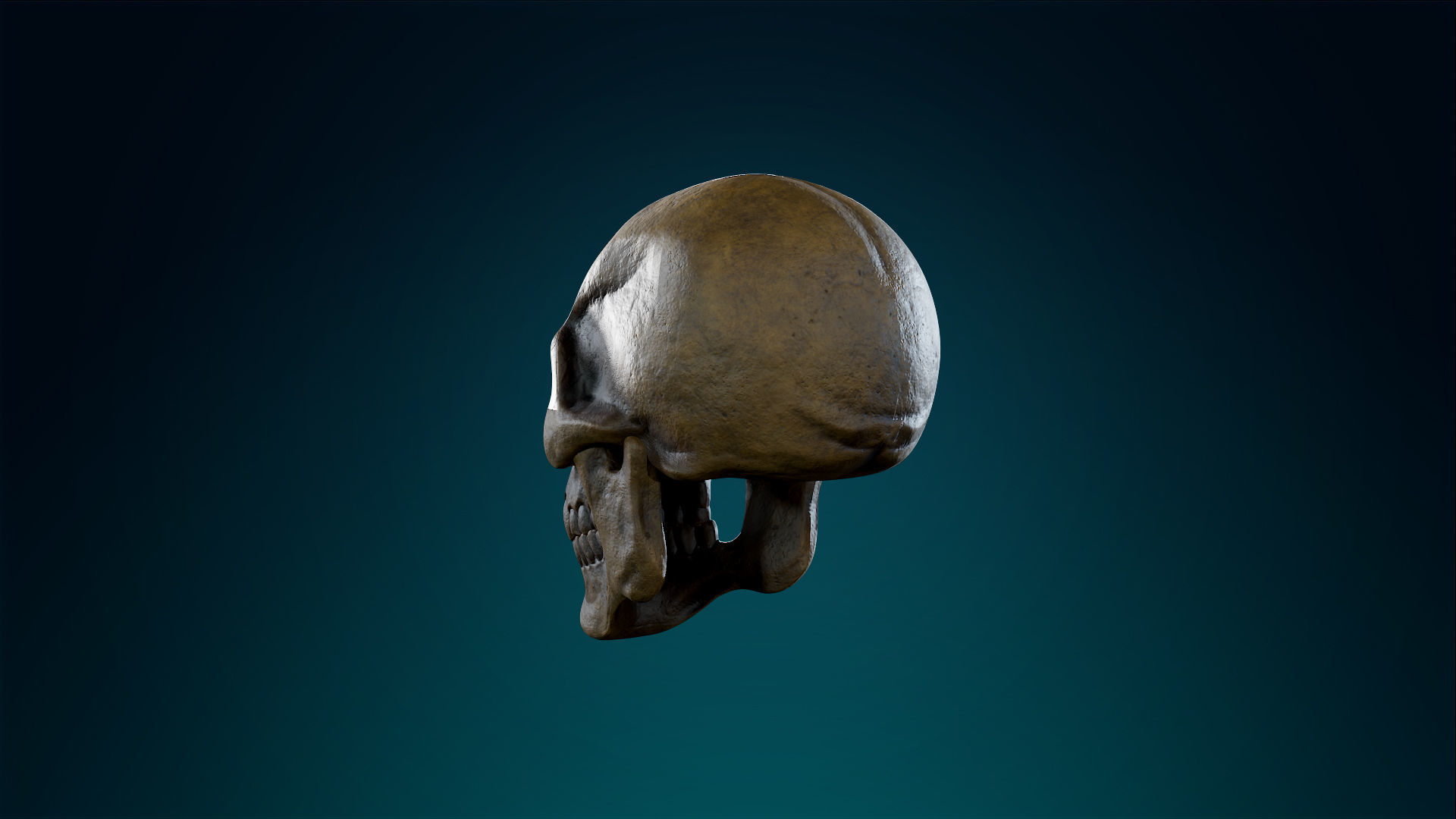 Human Skeleton Skull - Ancient - Lowpoly - Game Ready Low-poly 3D model_13