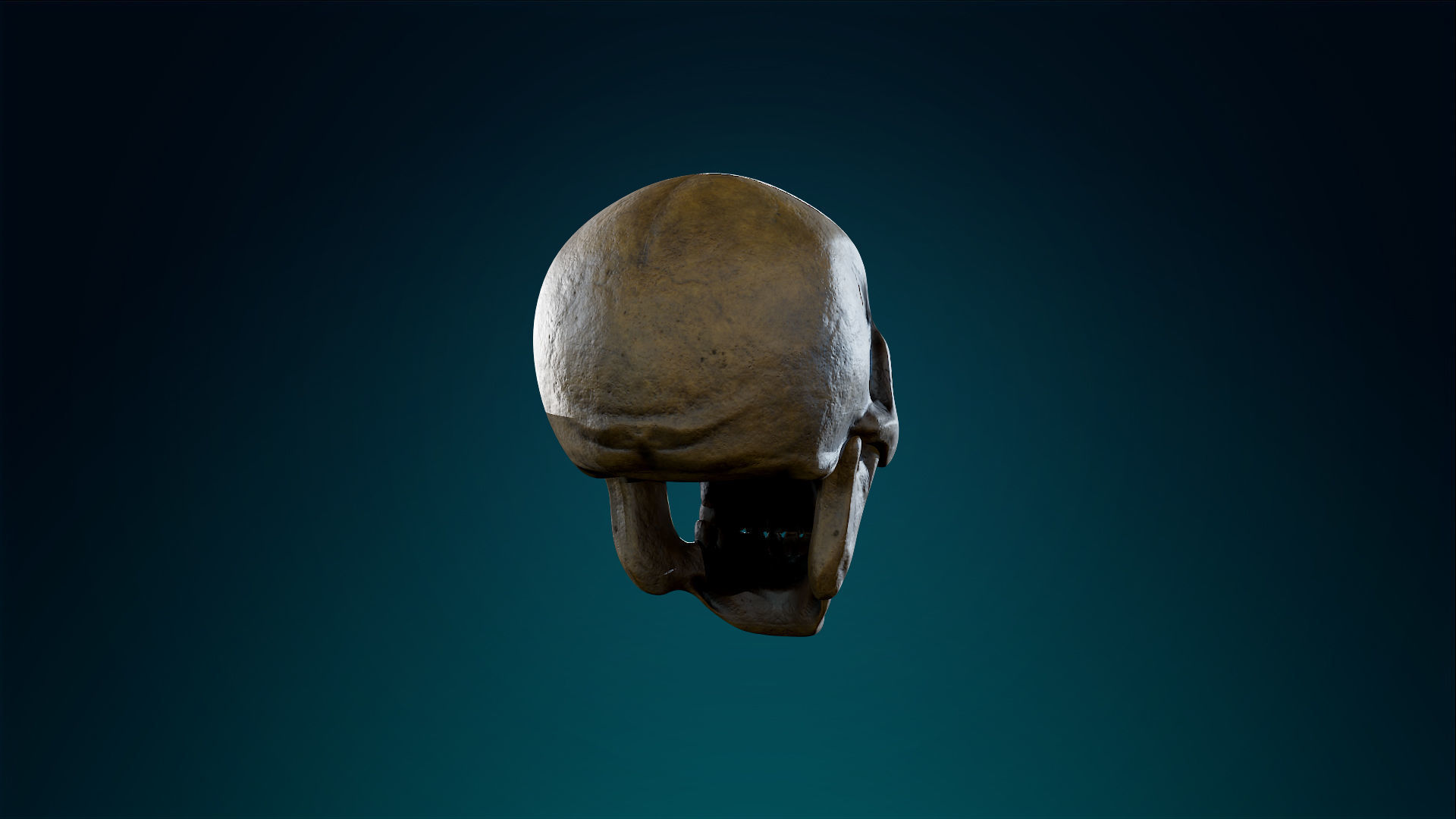 Human Skeleton Skull - Ancient - Lowpoly - Game Ready Low-poly 3D model_10