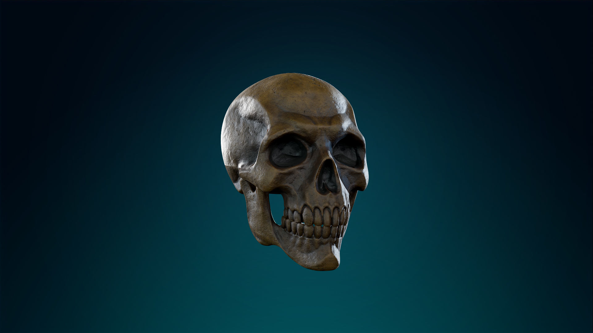 Human Skeleton Skull - Ancient - Lowpoly - Game Ready Low-poly 3D model_4