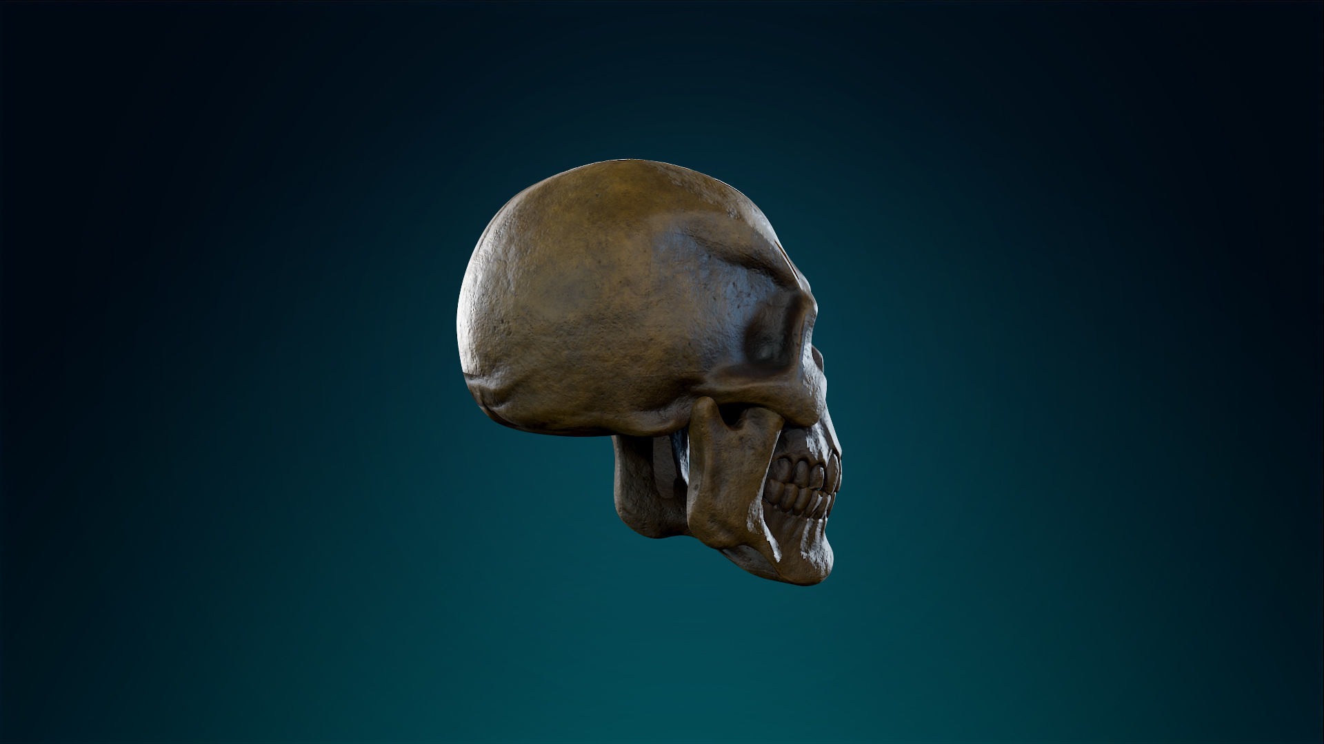 Human Skeleton Skull - Ancient - Lowpoly - Game Ready Low-poly 3D model_8