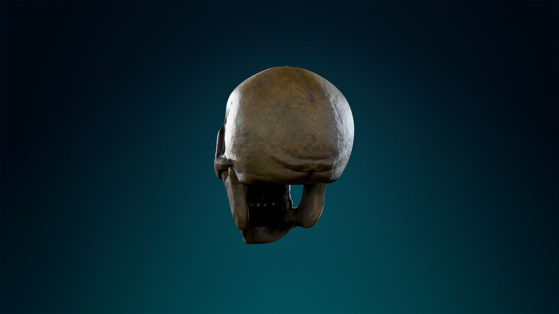 Human Skeleton Skull - Ancient - Lowpoly - Game Ready Low-poly 3D model_12