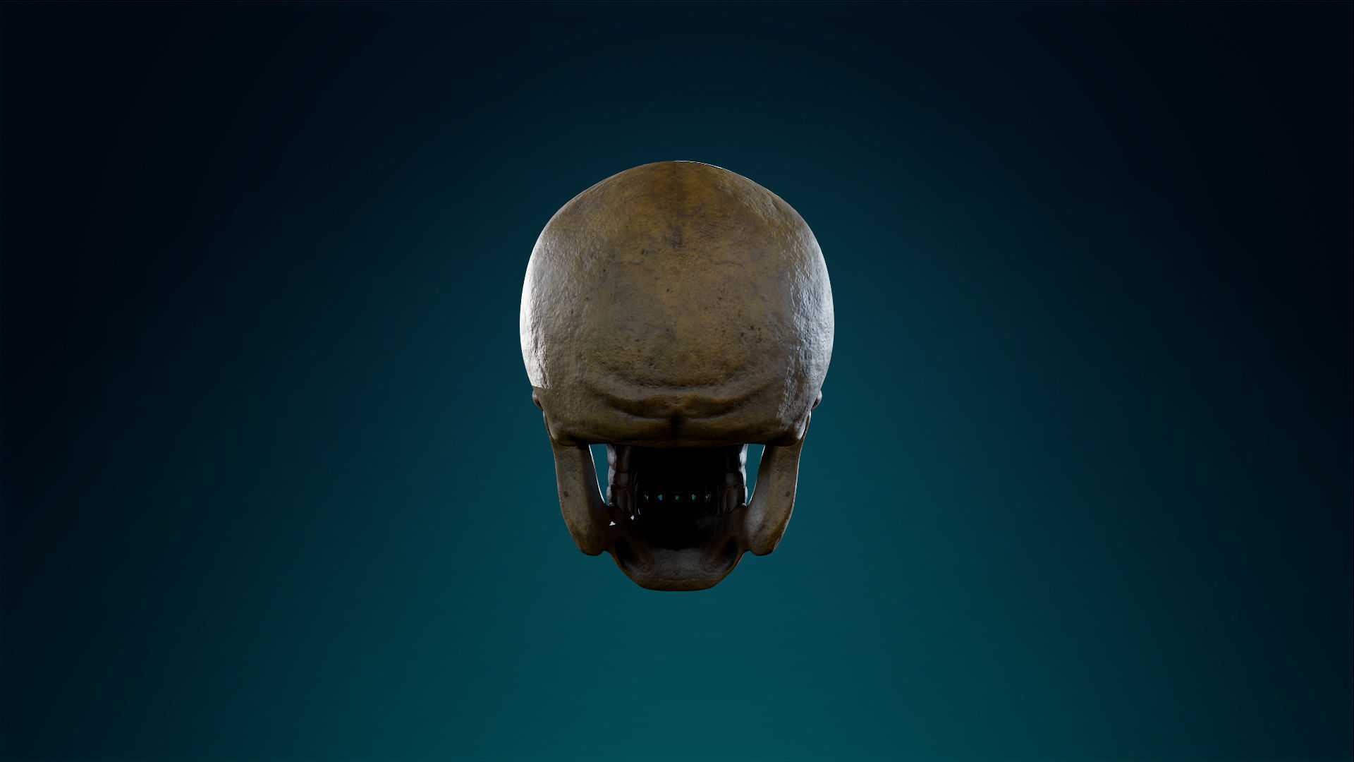 Human Skeleton Skull - Ancient - Lowpoly - Game Ready Low-poly 3D model_11