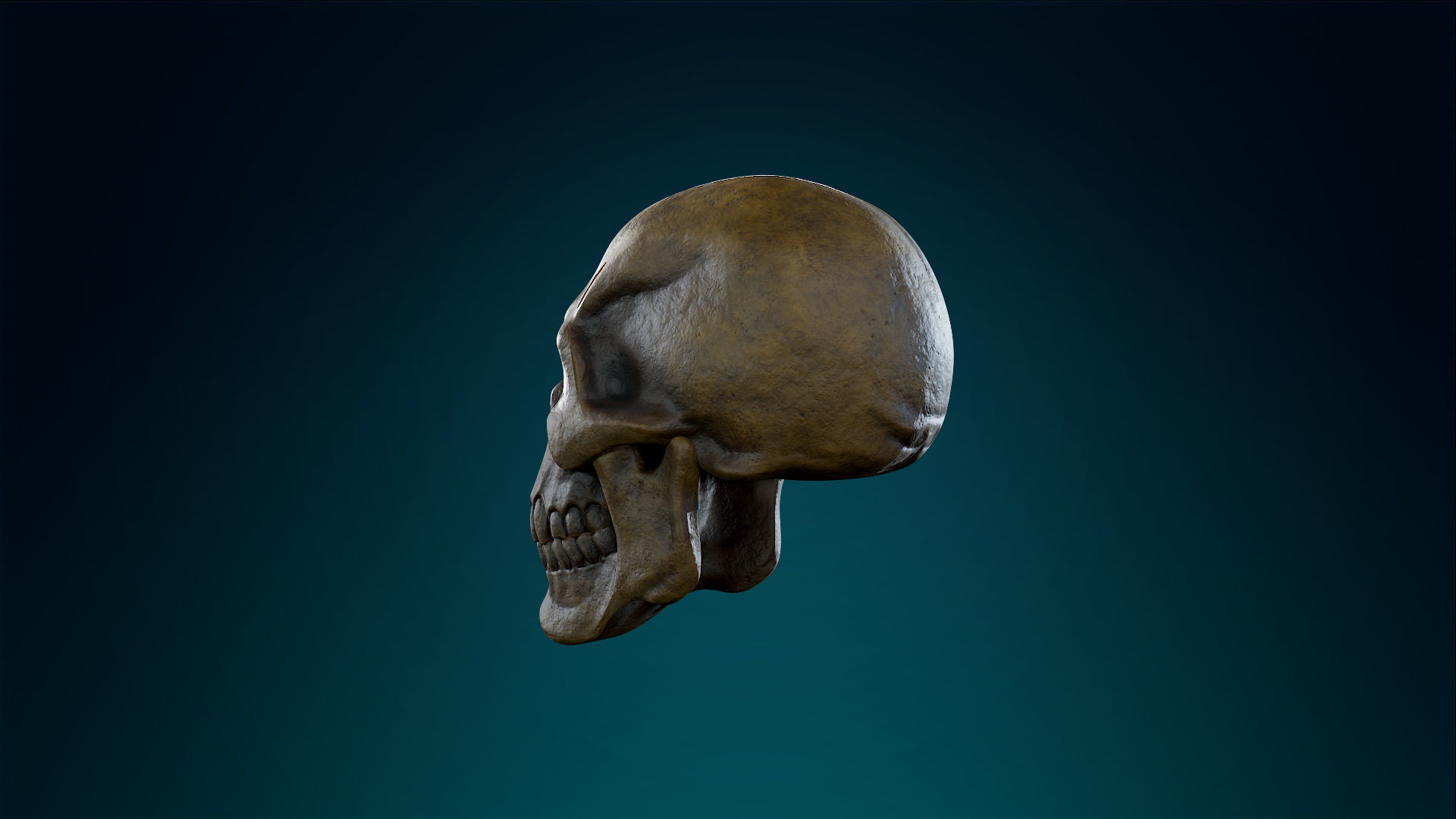 Human Skeleton Skull - Ancient - Lowpoly - Game Ready Low-poly 3D model_14