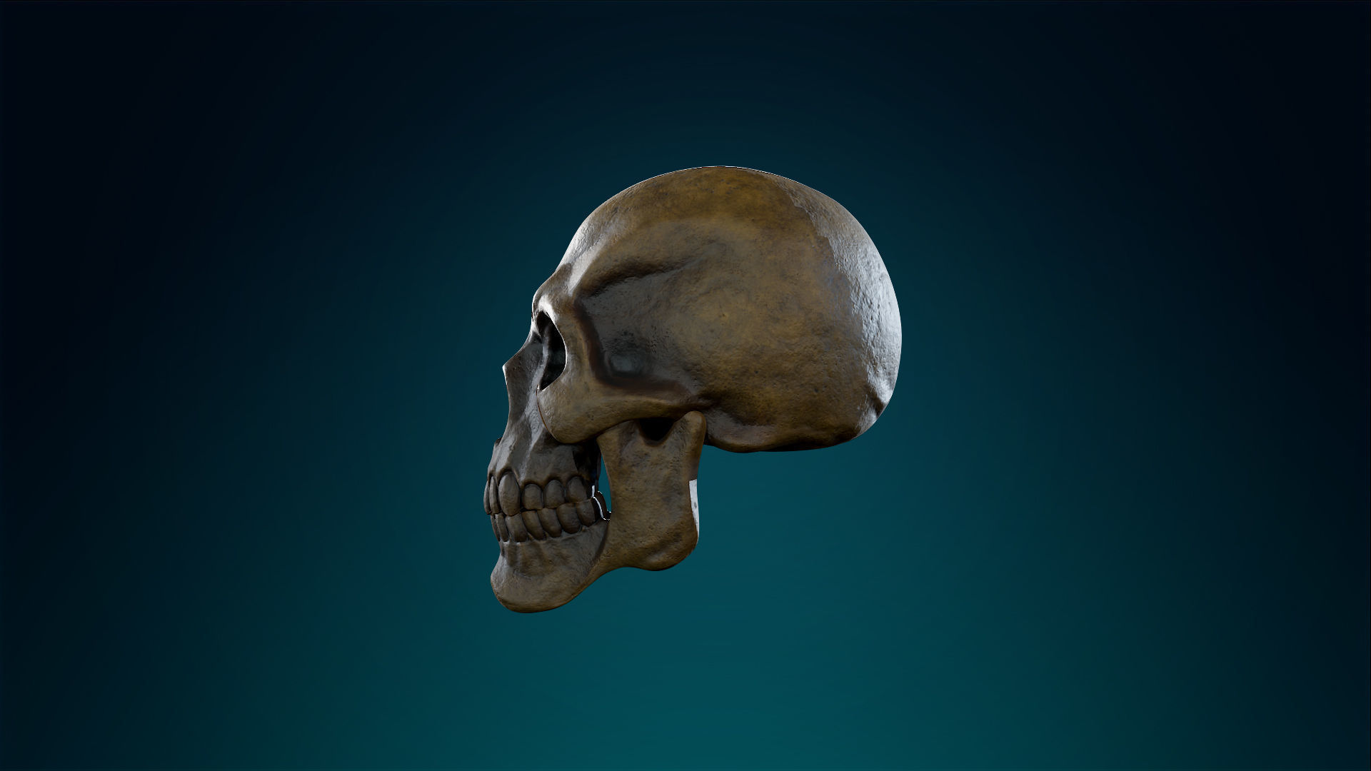 Human Skeleton Skull - Ancient - Lowpoly - Game Ready Low-poly 3D model_15