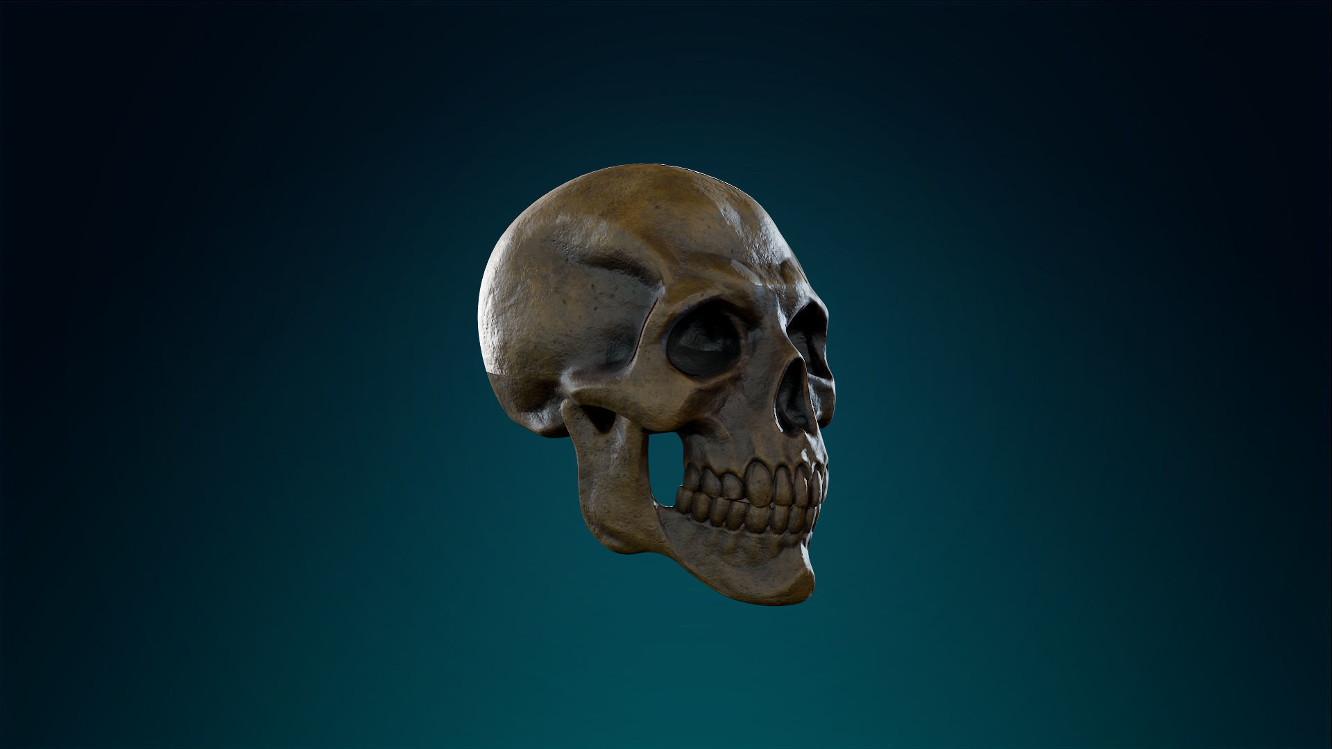 Human Skeleton Skull - Ancient - Lowpoly - Game Ready Low-poly 3D model_5
