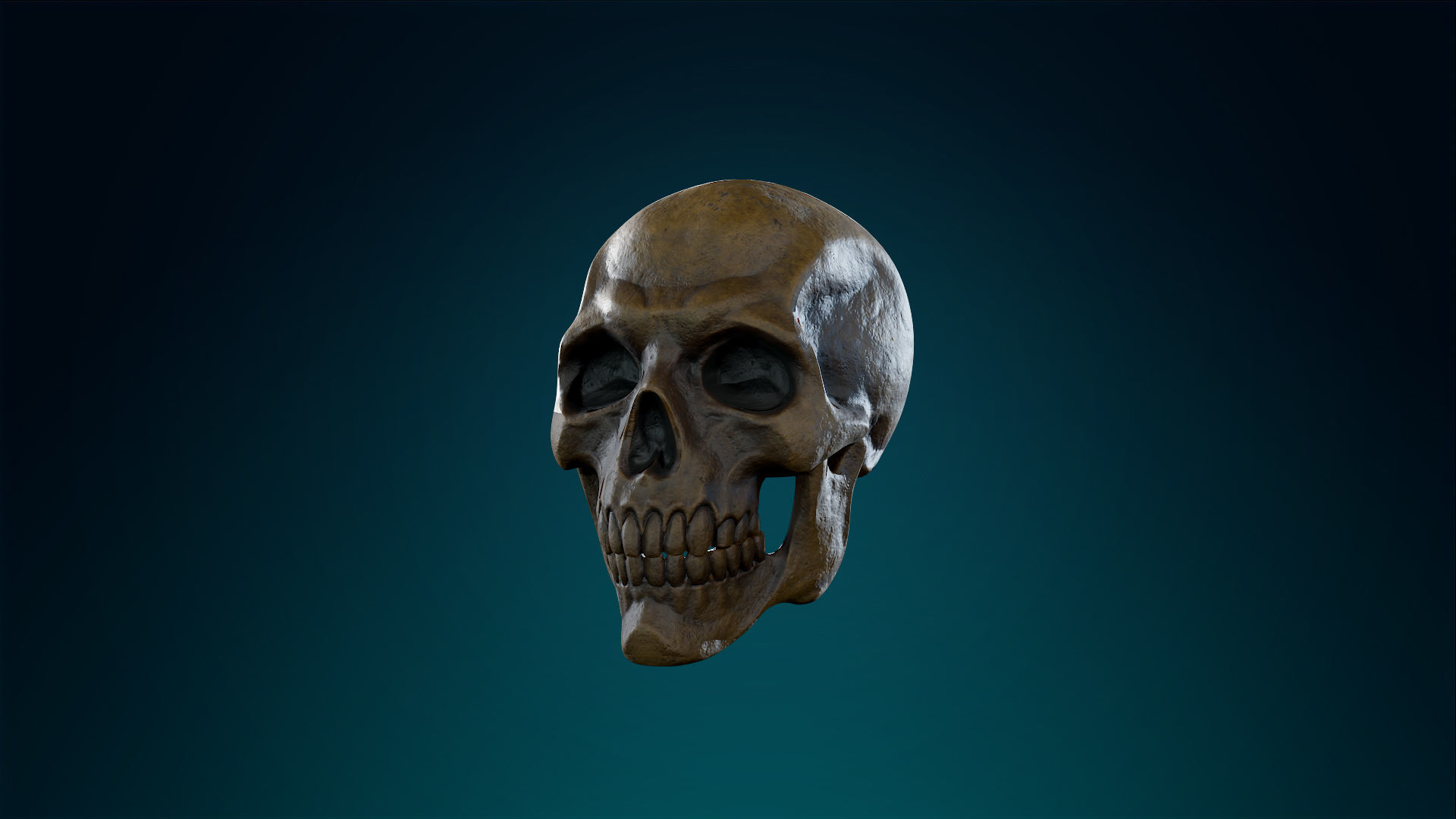 Human Skeleton Skull - Ancient - Lowpoly - Game Ready Low-poly 3D model_18