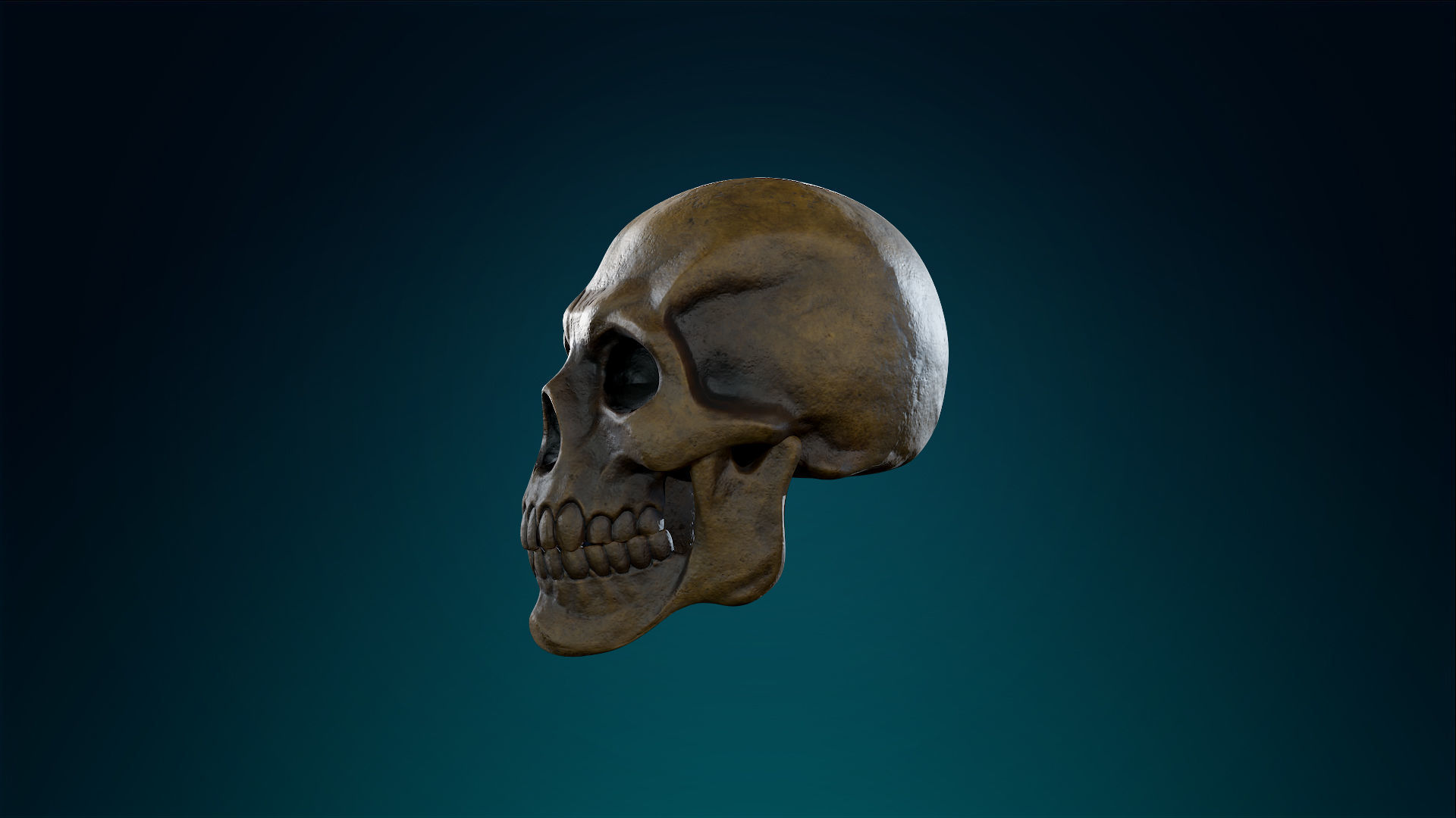 Human Skeleton Skull - Ancient - Lowpoly - Game Ready Low-poly 3D model_16