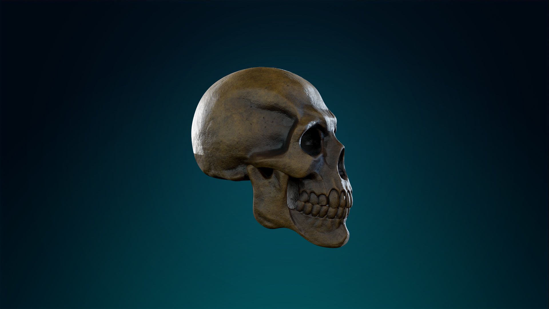 Human Skeleton Skull - Ancient - Lowpoly - Game Ready Low-poly 3D model_6
