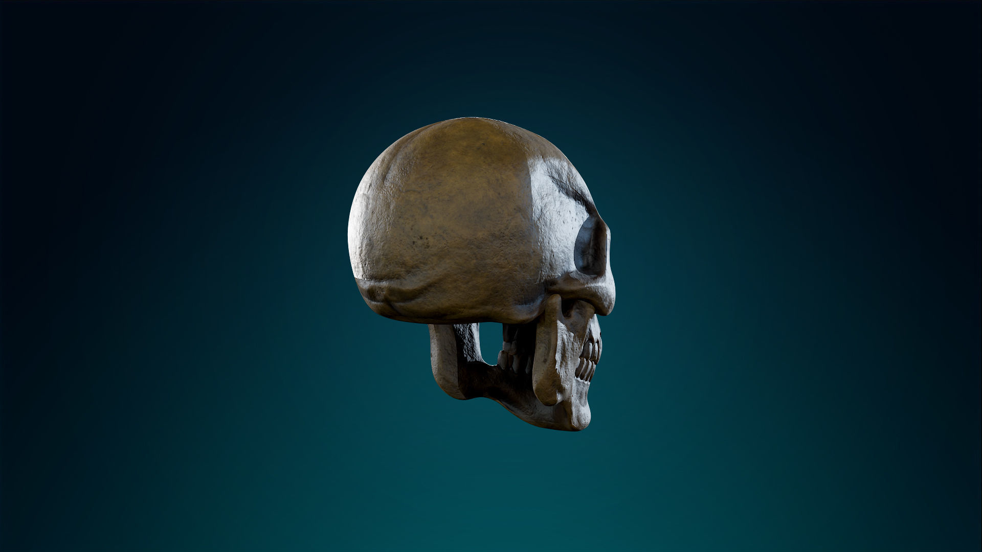 Human Skeleton Skull - Ancient - Lowpoly - Game Ready Low-poly 3D model_9