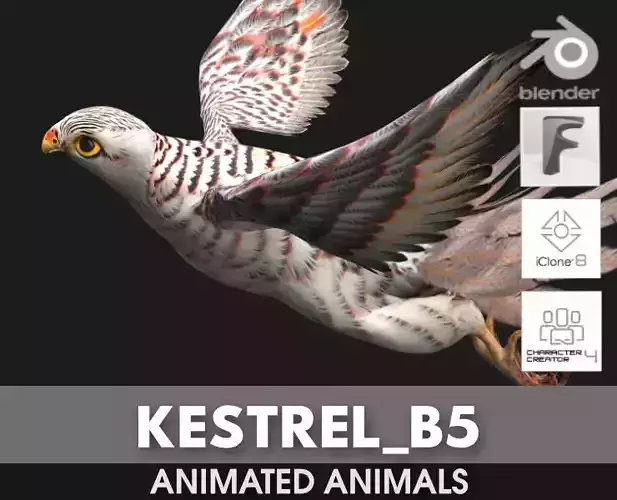 Kestrel B5