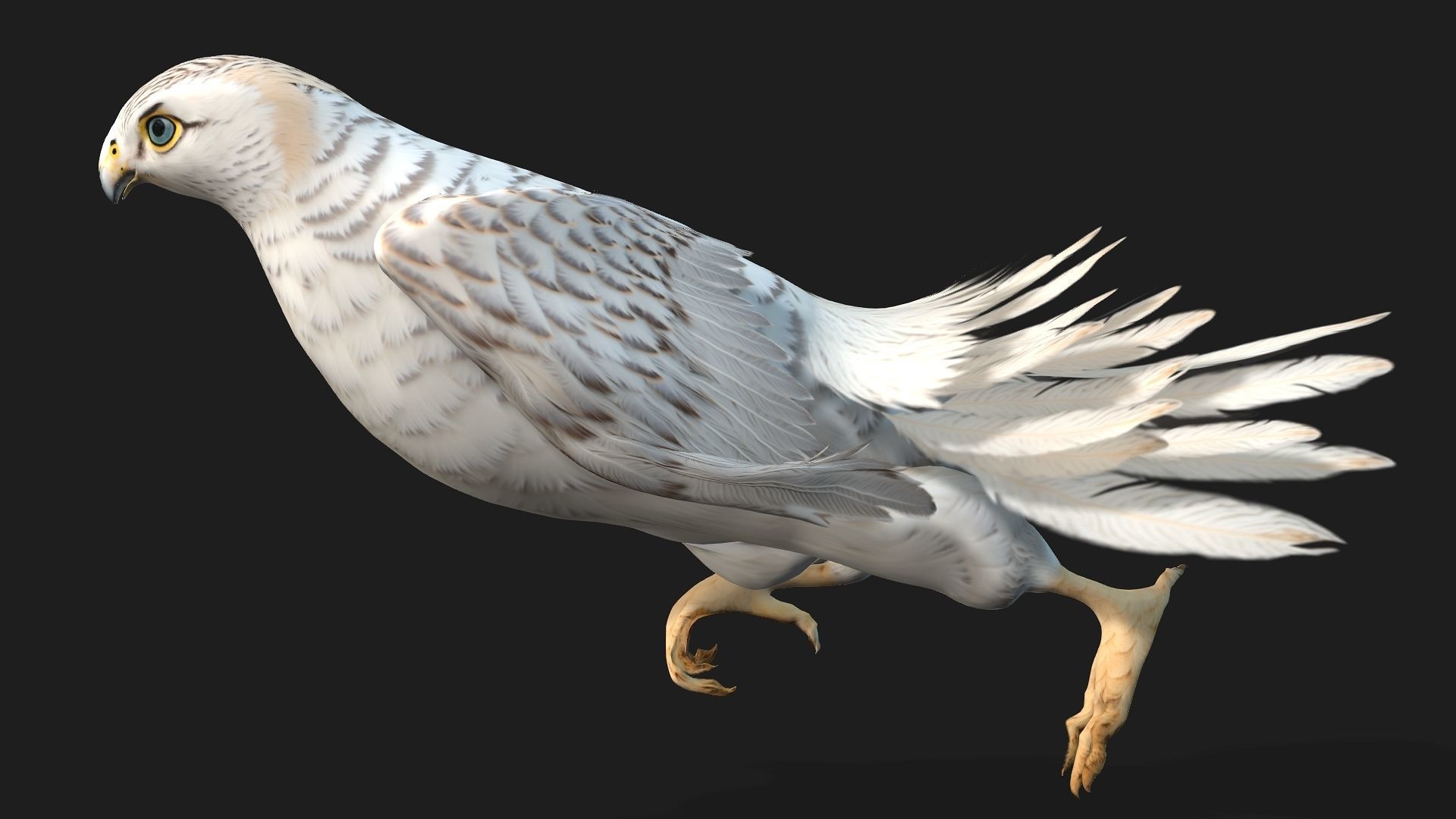 Kestrel B6 3D model_4