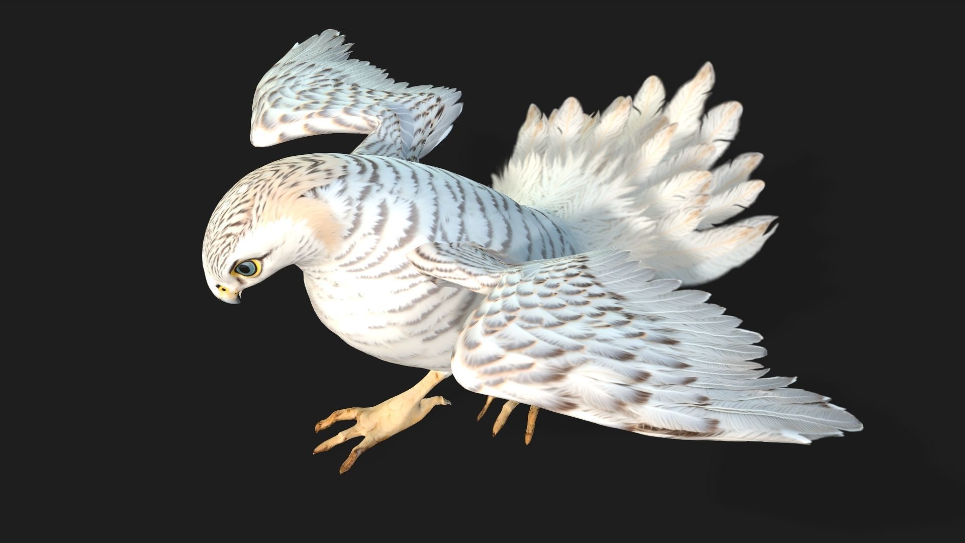 Kestrel B6 3D model_3