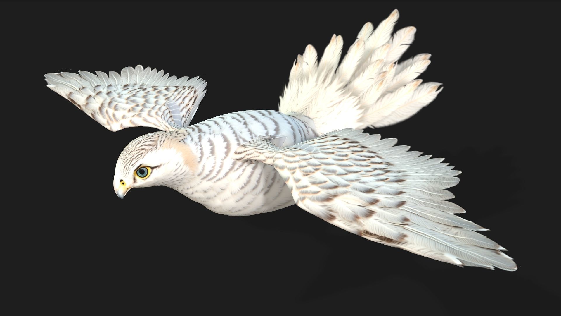 Kestrel B6 3D model_6