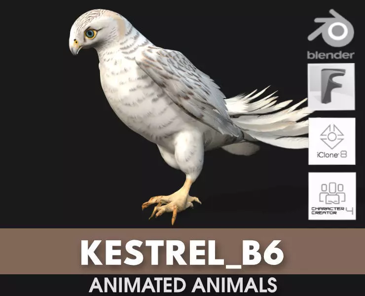 Kestrel B6 3D model_0