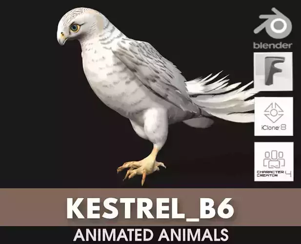Kestrel B6
