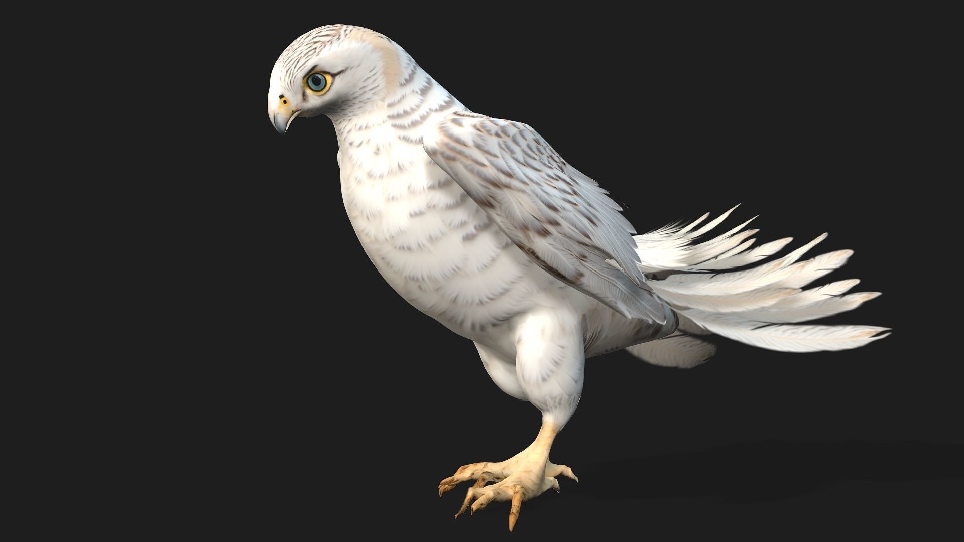 Kestrel B6 3D model_2