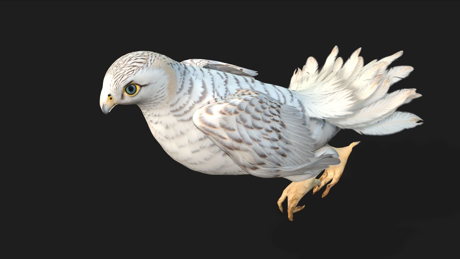 Kestrel B6 3D model_5