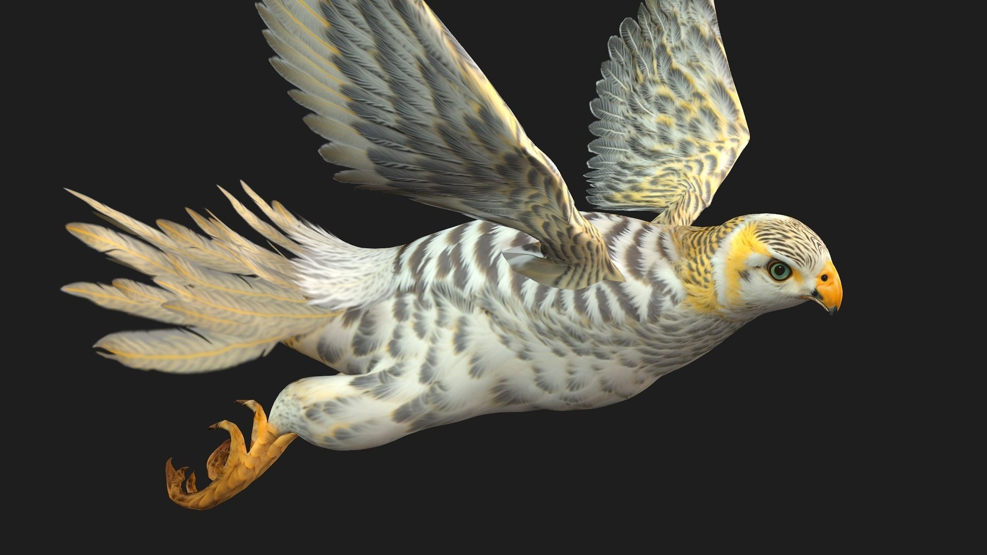 Kestrel B7 3D model_7