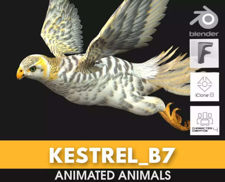 Kestrel B7 3D model_0