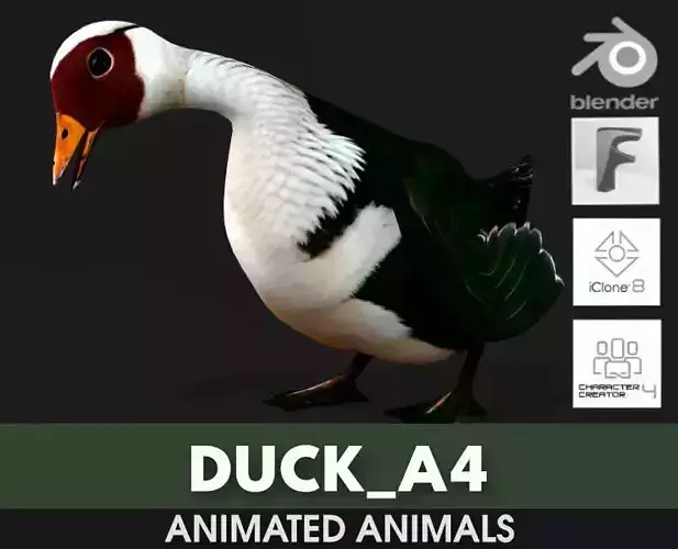 Duck A4