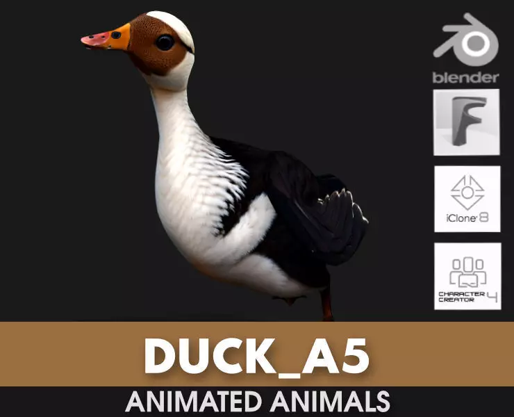 Duck A5 3D model