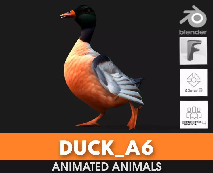 Duck A6 3D model