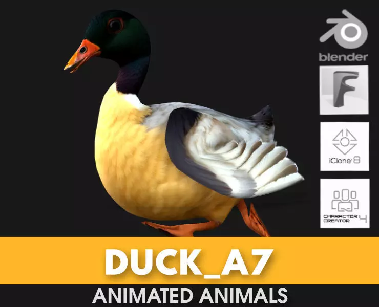 Duck A7 3D model