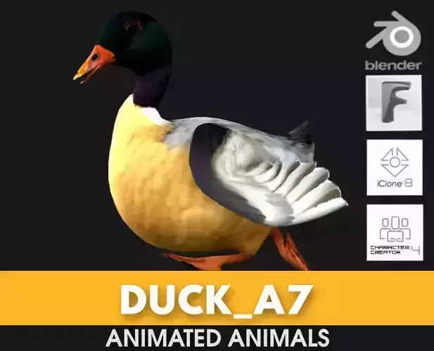 Duck A7