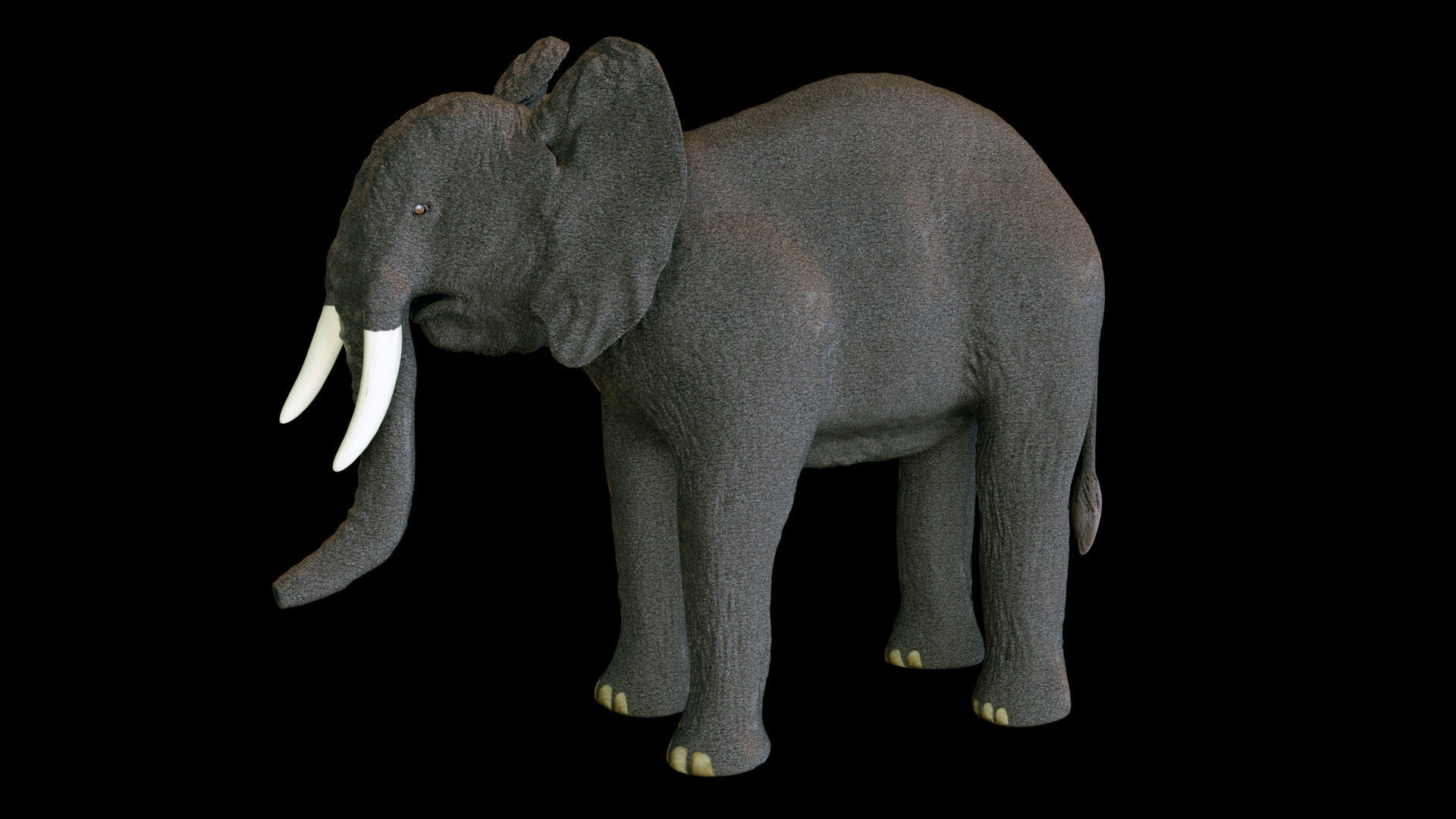  Elephant African PBR texture 3D model_3