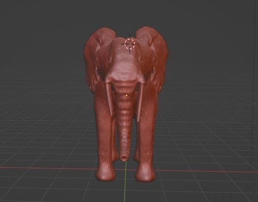  Elephant African PBR texture 3D model_6